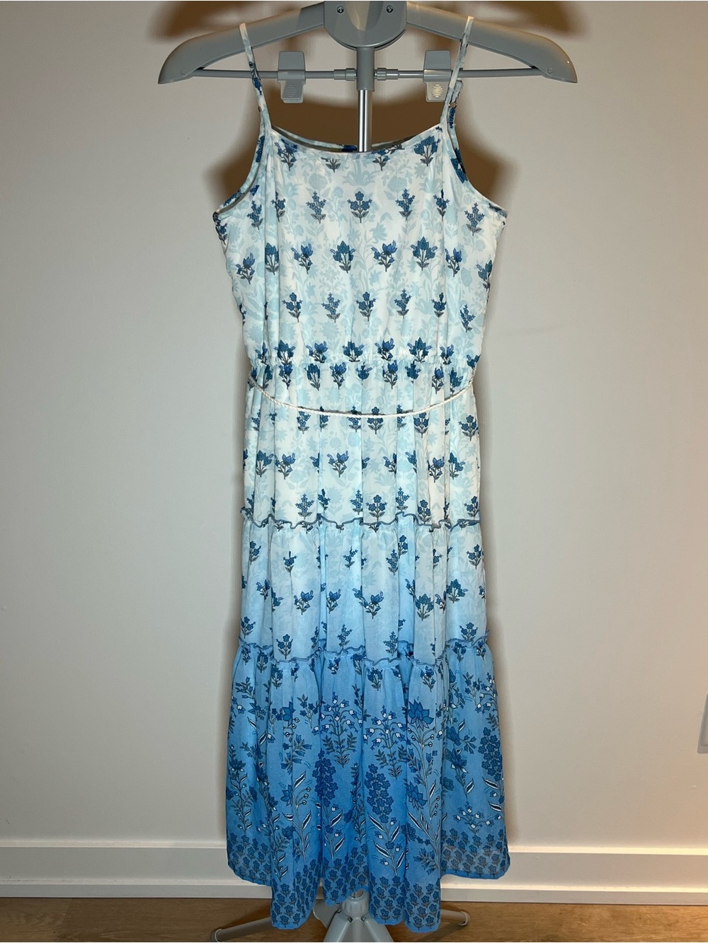 Sleeveless Blue Ombre Floral Paisley Maxi Dress